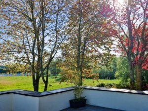 Gartenansicht