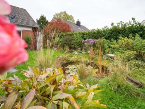 Garten mit Teich