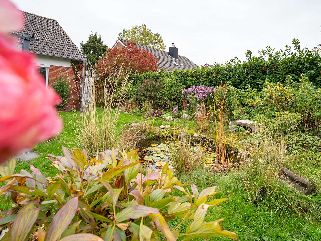 Garten mit Teich