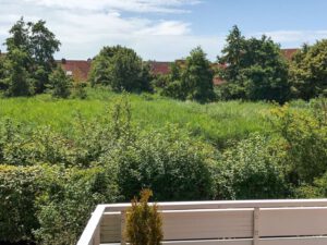 Ausblick vom Balkon im Sommer