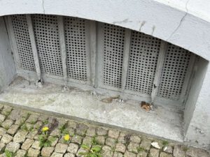 IMG_6900